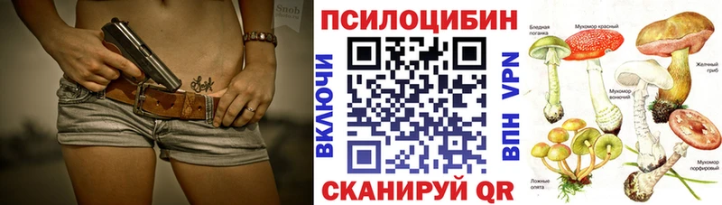 Галлюциногенные грибы мухоморы  продажа наркотиков  Заволжск 